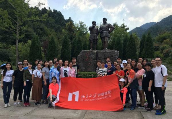 狐狸的旅程